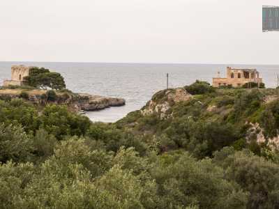 Il nostro punto di partenza � Torre Incina, una delle sei postazioni di avvistamento cinquecentesche sopravvissute in terra di Bari